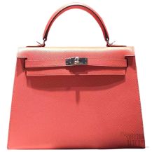 Hermes Birkin 25 Handbag Gris Tourterelle CC81 Togo SHW