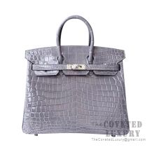 Hermes Kelly 25 Bag 1C Poussiere Matte Niloticus And Barenia SHW