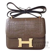 Hermes Birkin 25 Handbag M1 Oregano Matte Alligator GHW