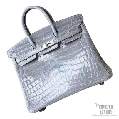 Hermes Birkin 25 crocodile bag white and grey