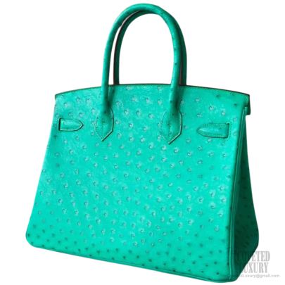 Hermes Birkin 30 Bag Menthe Ostrich SHW