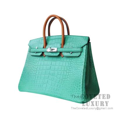 Birkin 25 turquoise inspired bag, Poshmark find