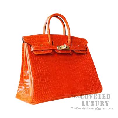 Orange Leather Handbag Birkin 25
