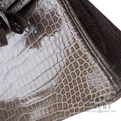 Hermes Birkin 25 Handbag Gris Tourterelle CC81 Togo SHW