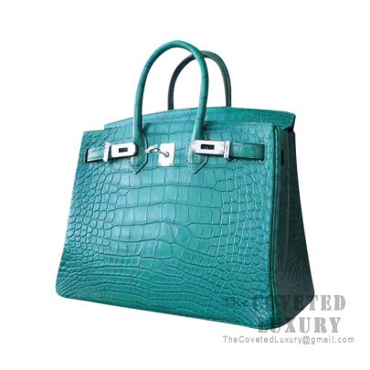 Hermes Birkin 25 alligator handbag - ShopStyle Shoulder Bags