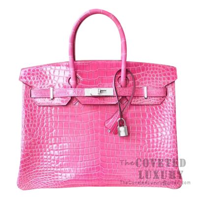 Hermès Shiny Porosus 18K Diamond Crocodile Birkin 35 - Purple Handle Bags,  Handbags - HER309792