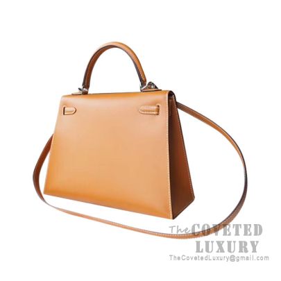 Hermes Birkin 25 Handbag CC21 Natural Sable Bulter GHW