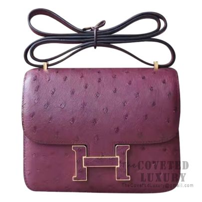 Hermes Rouge Vif Ostrich Constance Mini 18/19 Handbag - MAISON de LUXE